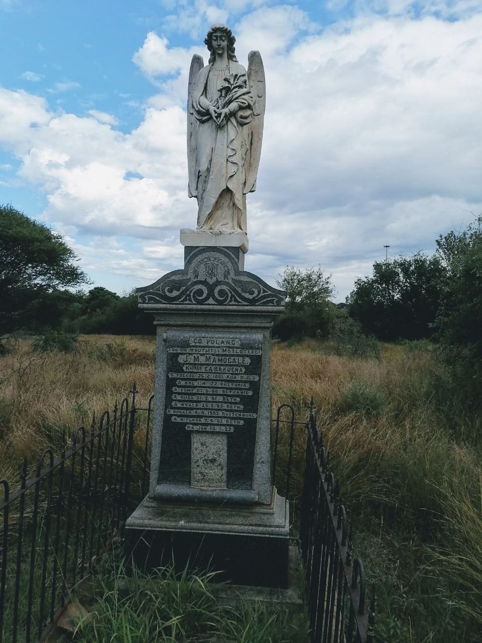 WhatsApp Image 2023-05-11 at 14.58.03